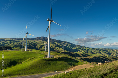Wind farm next to a state highway in New Zealand