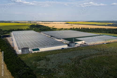 Aerial top view of venlo or dutch greenhouse plant