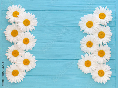 Chamomile on blue wooden background. Flat lay, copy space