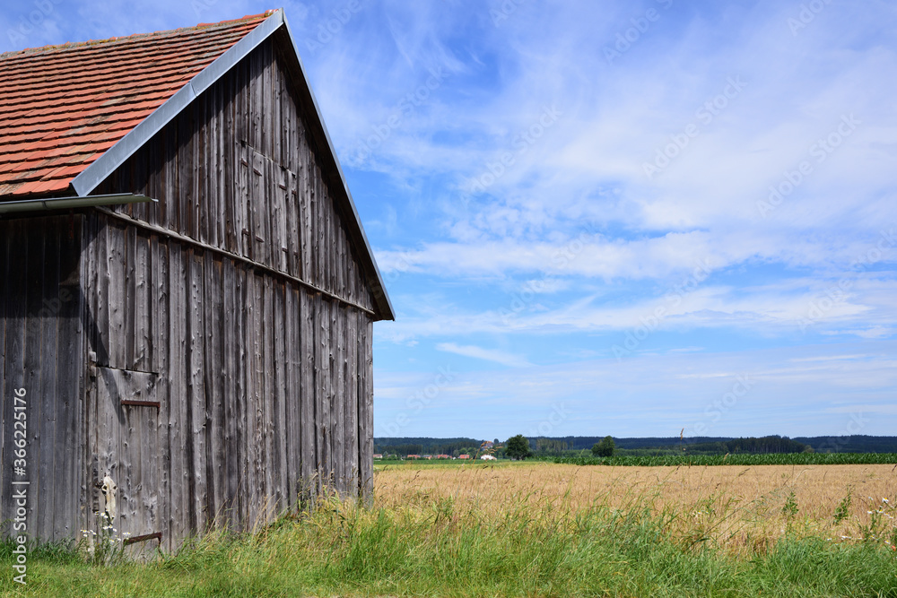 A typical weathered wooden hut stands in the Allgäu in Bavaria in the field, against a blue sky with clouds A typical weathered wooden hut stands in the Allgäu in Bavaria in the field, against a blue sky with clouds