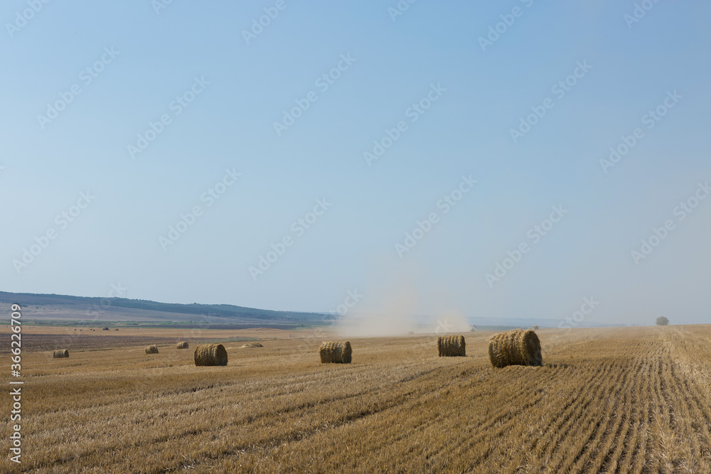 Obraz premium Field after harvest in the morning. Large bales of hay in a wheat field.