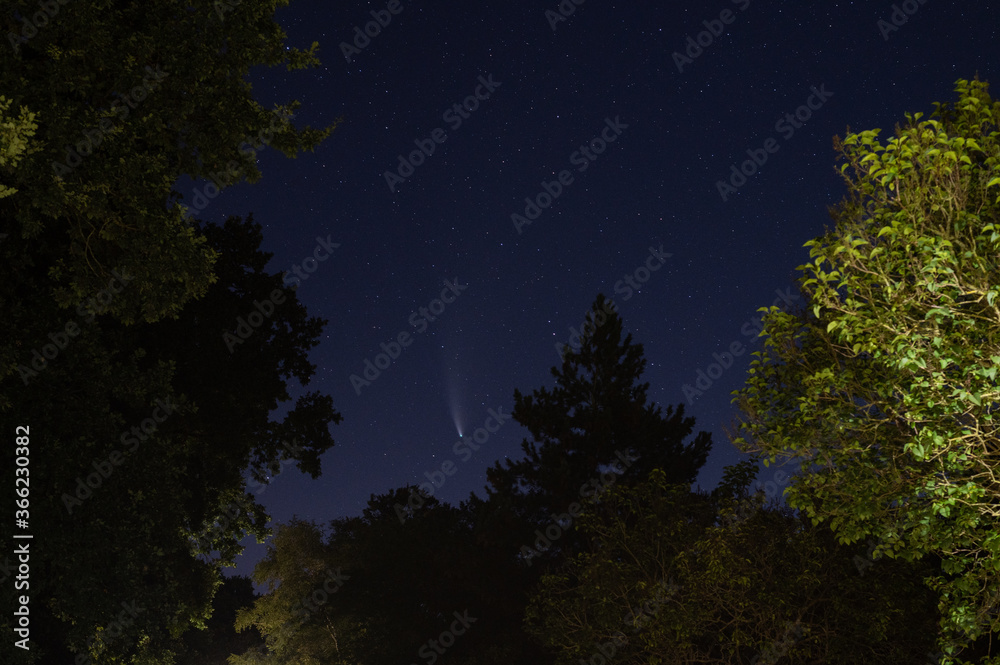 shots in the night sky of the comet neowise with many  other stars in the sky and trees can be seen in the background