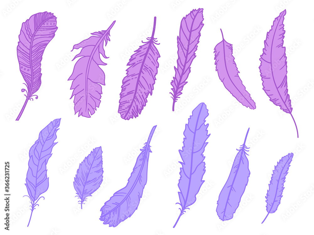 Feather. Hand drawn feathers on isolated white background. Print for design Feather. Hand drawn feathers on isolated white background. Print for design