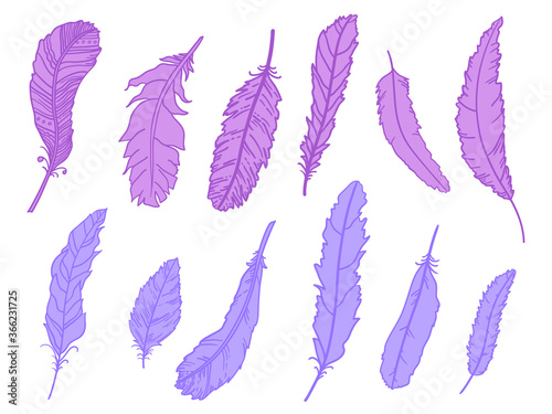 Feather. Hand drawn feathers on isolated white background. Print for design