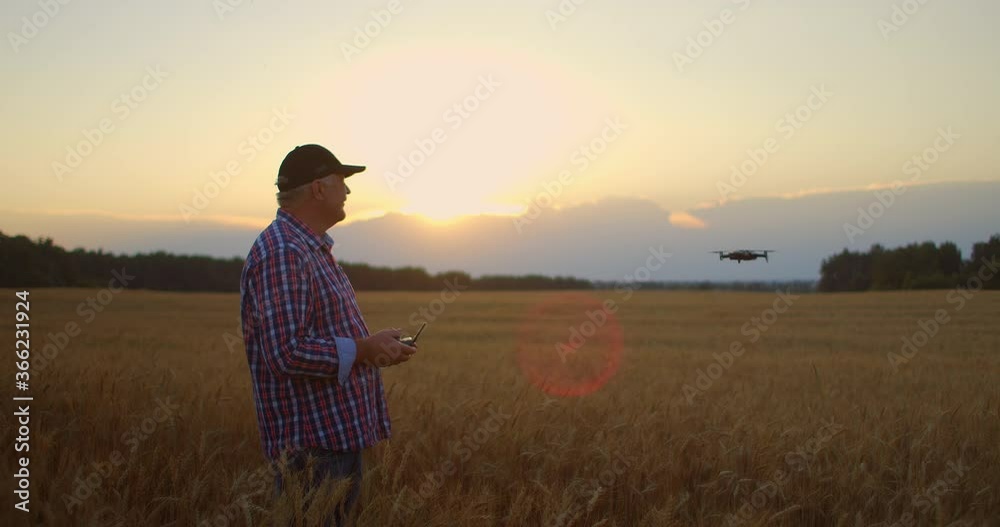 An elderly male agronomist in a field of grain crops flies a drone using a joystick controller. An elderly man and modern technology. An elderly male agronomist in a field of grain crops flies a drone using a joystick controller. An elderly man and modern technology.