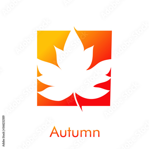 Concepto temporada de otoño. Logotipo con palabra Autumn con hoja de arce en cuadrado color anaranjado
