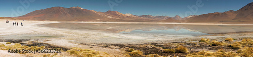 Panoramic view at White Lagoon - South of Bolivia.