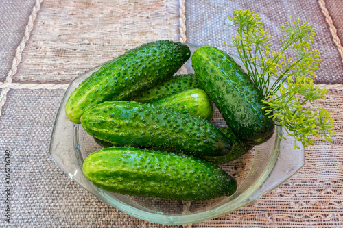 Ripe cucumbers recently picked from the garden and placed in a plate on the table