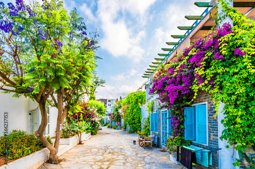 Fototapeta Naklejka Na Ścianę i Meble -  Bodrum Town street view in Turkey