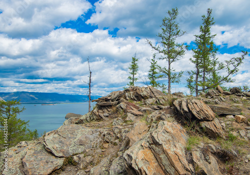 pine tree on the rocks by the lake