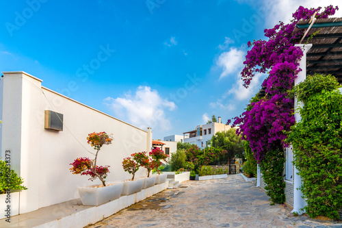 Fototapeta Naklejka Na Ścianę i Meble -  Bodrum Town street view in Turkey