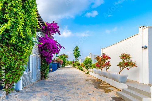 Fototapeta Naklejka Na Ścianę i Meble -  Bodrum Town street view in Turkey