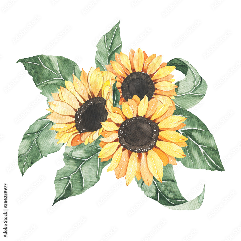 Fototapeta premium Watercolor sunflowers bouquet with green leaves isolated. Floral summer spring autumn yellow flowers arrangement blossom boho for wedding invitation save the date card illustration