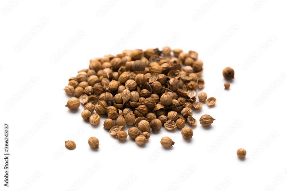 Coriander seeds isolated on white background Coriander seeds isolated on white background