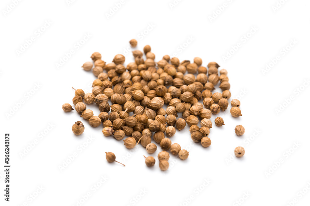 Coriander seeds isolated on white background Coriander seeds isolated on white background