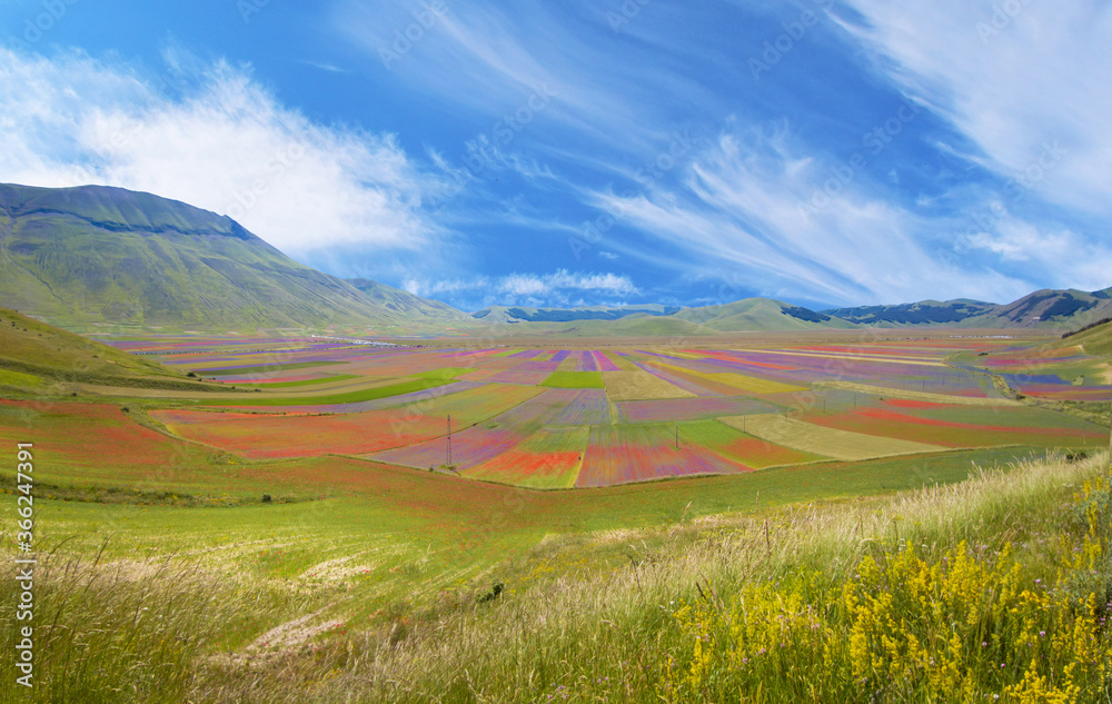 Castelluccio di Norcia, 2020 (Umbria, Italy) - The famous landscape flowering with many colors, in the highland of Sibillini Mountains, central Italy.