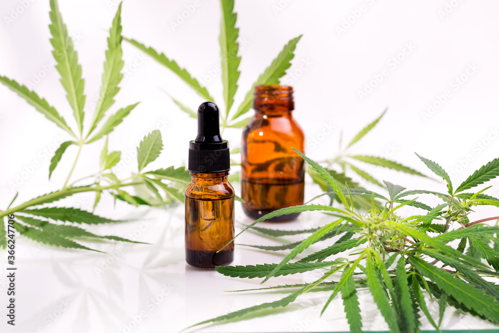 Bottle with cannabis oil against hemp leaves on a white background. Bottle with cannabis oil against hemp leaves on a white background.
