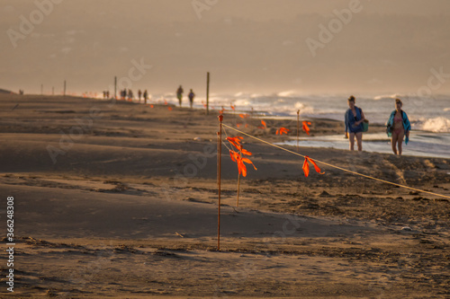 fangar beach in the ebro delta natural park