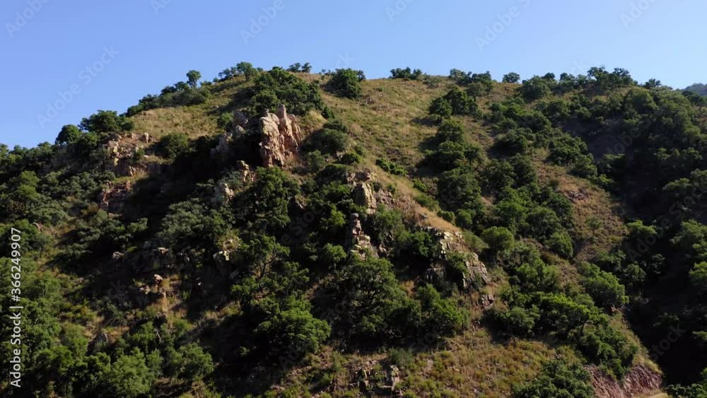 cork oak natural area of Mosquera alto palancia spain mditerranean aerial view cork oak natural area of Mosquera alto palancia spain mditerranean aerial view