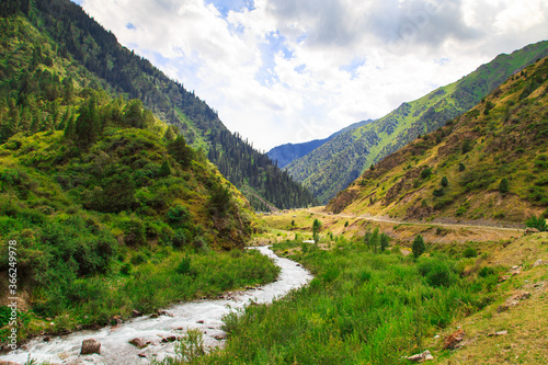 Mountain river among green mountains. Summer landscape. photo