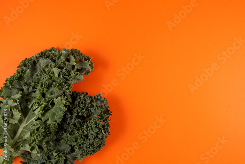 Organic kale (Italian kale, Tuscan kale, dinosaur kale, lacinato) on a orange background with place for text. Cabbage leaves, close up photo