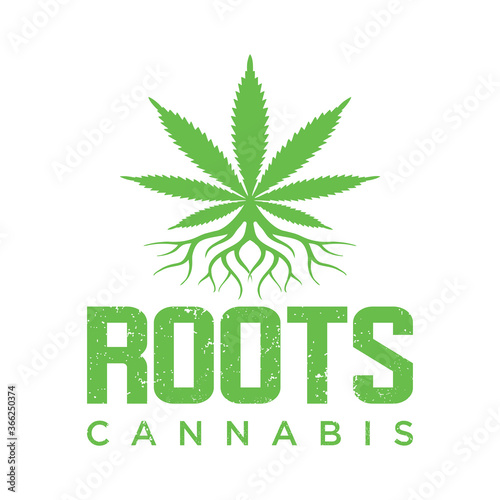 Drug green leaf concept logo icon on white background.