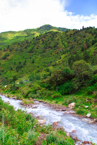 Mountain river among green mountains. Summer landscape. photo