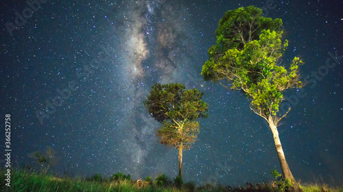 Milky-way and stars across the night sky with tress and grass field as foreground. Image contains noise due to long expose and High ISO. 