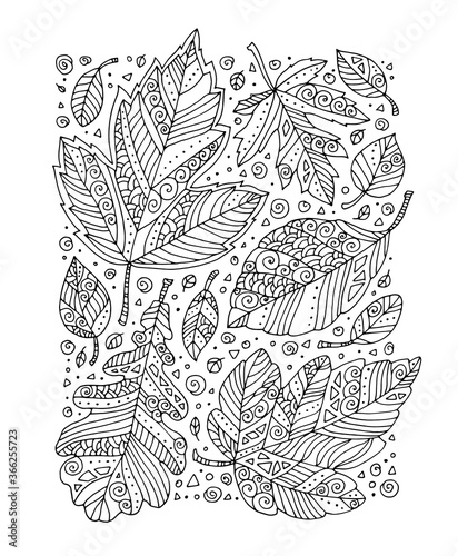 Forest leaves pattern. Elm, maple, oak, birch, linden. Hand drawn artwork. Top view. Zentangle, doodle, tattoo. Woodcut style. Coloring book page for adult. Black and white