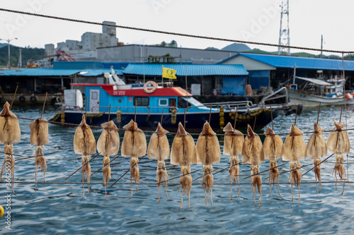 drying squid and fishing boat on the ocean