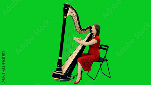 Young female musician in red dress playing harp