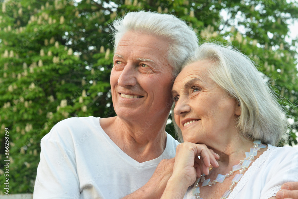 Fototapeta premium Close-up portrait of beautiful senior couple posing