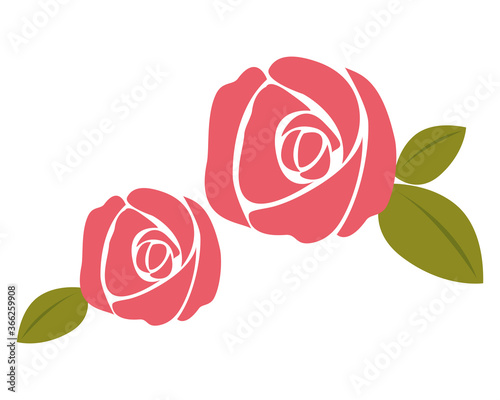 ピンクのバラの花のベクターイラスト