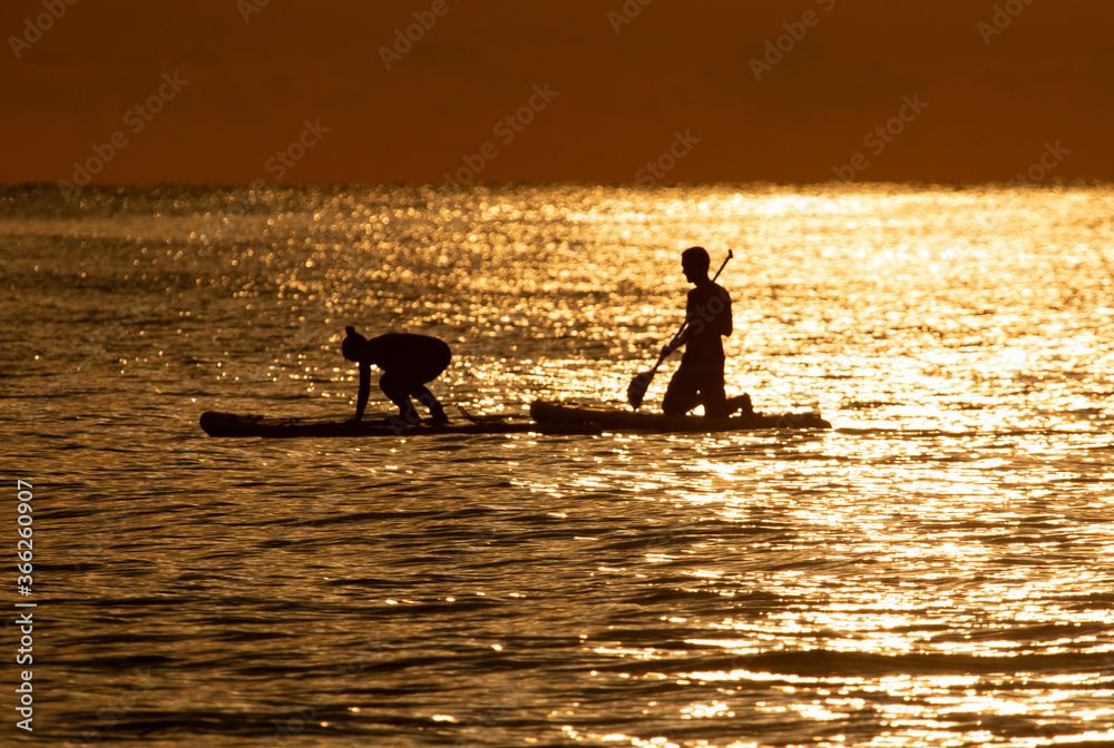 silhouettes of people skating on a board in the sea on a sunset background
