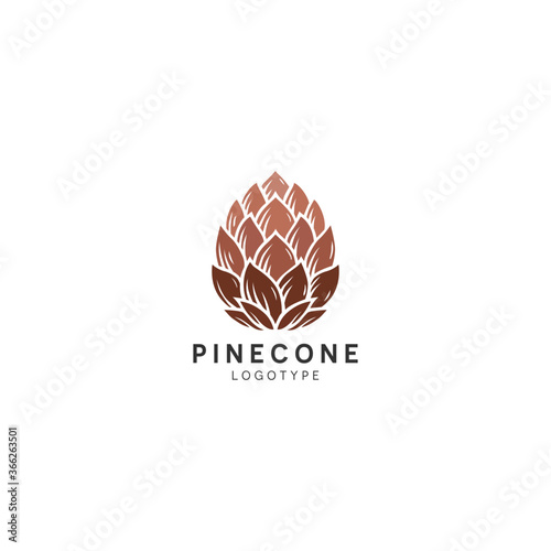 Pinecone Isolated Vector Icon Brown pine leaf icon vector on white background, pine leaf trendy filled icons from Nature collection illustration
