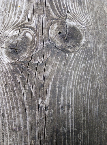 old wood texture