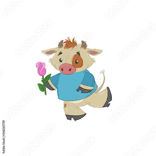 Cute bull, ox or bison taking a rose flower and running. 2021 chinese year of bull symbol. Cartoon hand drawn style. March vector illustration.