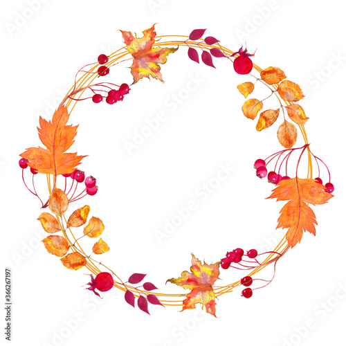 Watercolor wreath of autumn leaves and berries . Beautiful round wreath of yellow and red leaves  berries  branches. 