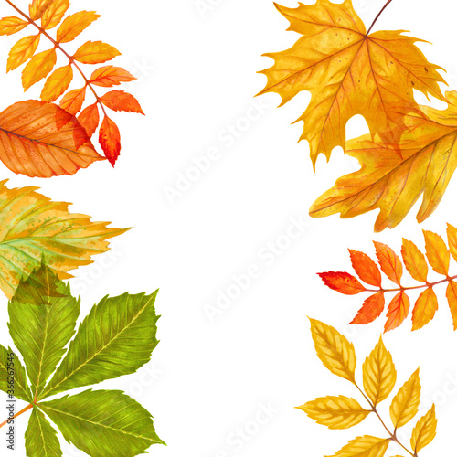 Watercolor autumn leaves background on white background.
