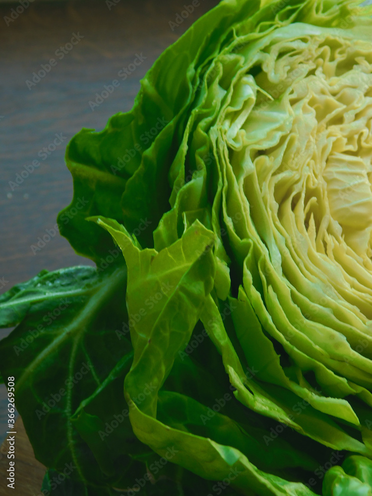Fototapeta premium fresh green cabbage