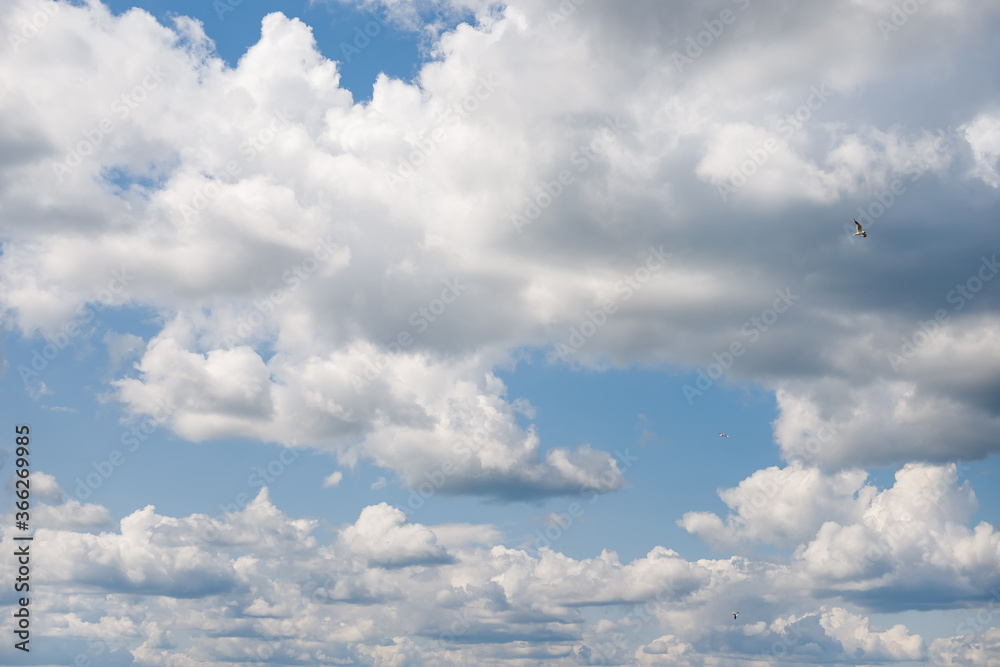 Cirrus clouds on a sultry summer day. A rare view of cirrus clouds on a calm day. Spindrift clouds. Background. Landscape. Cirrus clouds on a sultry summer day. A rare view of cirrus clouds on a calm day. Spindrift clouds. Background. Landscape.