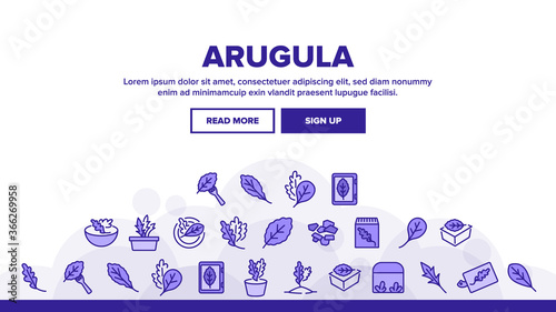 Arugula Or Rucola Landing Web Page Header Banner Template Vector. Arugula Plant In Greenhouse And Garden, On Plate And Fork, Leaf Spice For Meal Illustrations