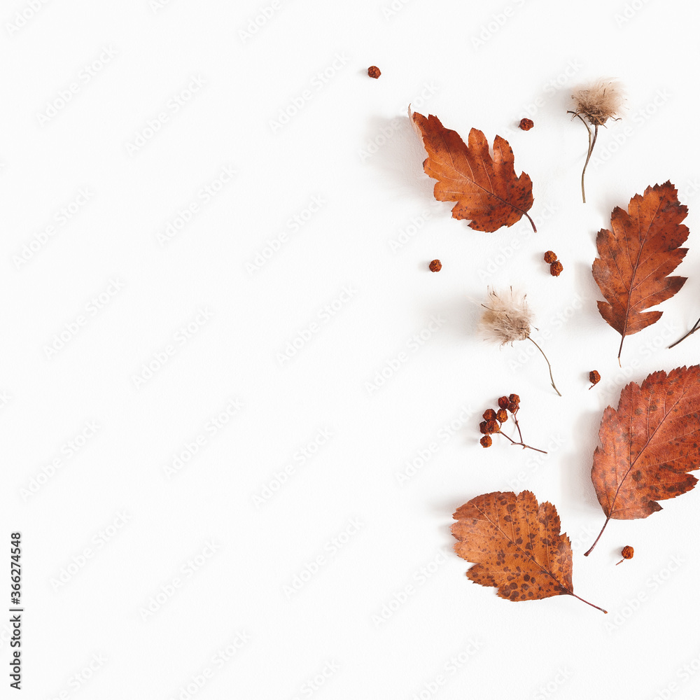 Plakat Jesienna kompozycja. Suszone liście, kwiaty, jagody jarzębiny na białym tle. Jesień, jesień, koncepcja Święto Dziękczynienia. Płaski układanie, widok z góry