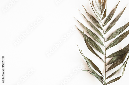 Autumn composition. Dried leaves on white background. Autumn  fall  summer concept. Flat lay  top view