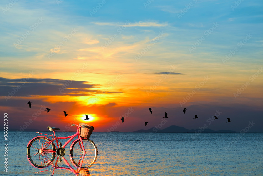 Fototapeta premium reflection of bicycle on water and sunset on sea and silhouette birds flying to home over sea surface