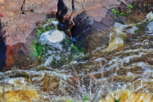 waterfall in the forest