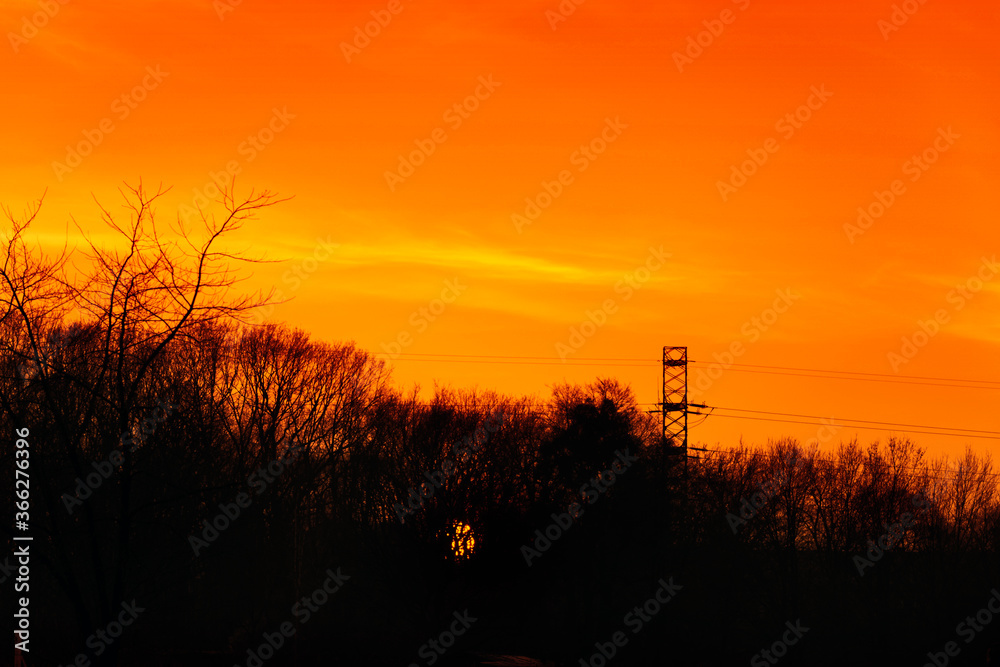 Fototapeta premium Sunset sky. Late orange sun with trees silhouettes scenery. Photography of tranquil skyline with woods silhouette and high voltage tower in the distance. Golden sundown gorgeous scenic wallpaper.