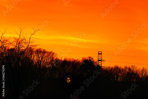 Sunset sky. Late orange sun with trees silhouettes scenery. Photography of tranquil skyline with woods silhouette and high voltage tower in the distance. Golden sundown gorgeous scenic wallpaper.