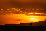 African sunset and grazing wildebeest in the Masai Mara