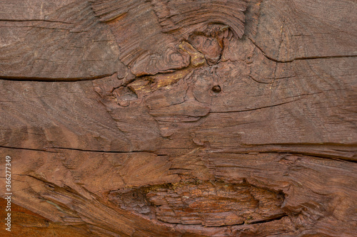 Obraz na płótnie Wood texture surface with old natural pattern. Untreated natural wooden beams. Vintage wood texture. w salonie